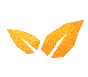 100 PERCENT_NATURAL ICON