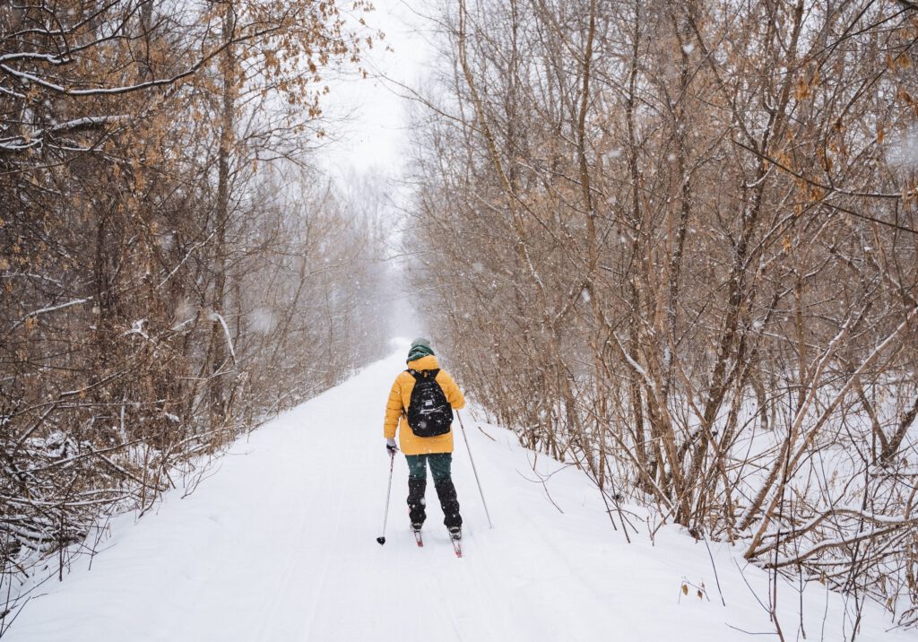 Skier in forest