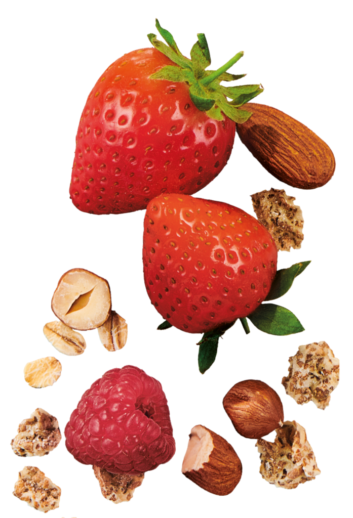 Ingredients fruit and nuts
